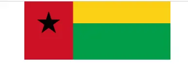 Guinea flag image